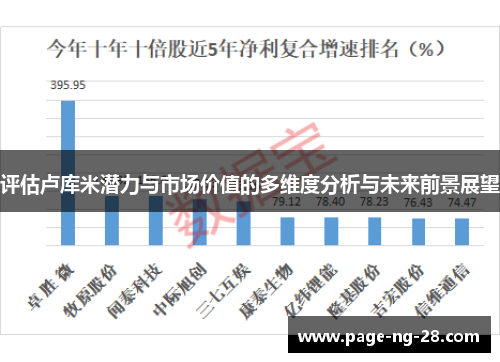 评估卢库米潜力与市场价值的多维度分析与未来前景展望