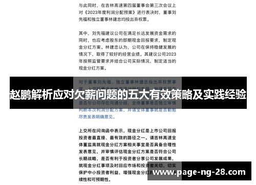 赵鹏解析应对欠薪问题的五大有效策略及实践经验